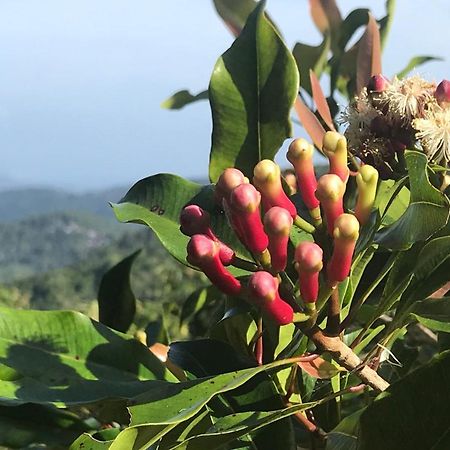 Munduk Clove Εξωτερικό φωτογραφία